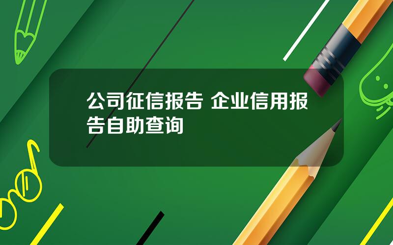 公司征信报告 企业信用报告自助查询